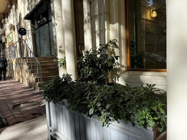 Karat Inn Boutique Hotel Баку Экстерьер фото